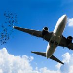 【FX初心者】口座開設してみよう！【FXのはじめかたvol.5】