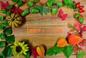 【FX】週間チャート分析・ドル円【2019・9/23～9/27】