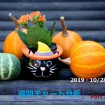 【FX】週間チャート分析【2019・10/28～11/1】【Part 2】