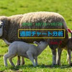 【FX】週間チャート分析【2019・10/21～10/25】【Part 2】