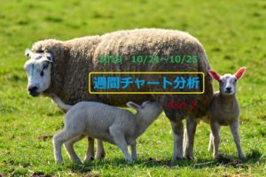 【FX】週間チャート分析【2019・10/21～10/25】【Part 2】