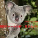 【FX】週間チャート分析・豪ドル/ドル【2019・11/18~11/22】