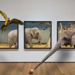 【FX】マルチタイムフレーム分析を使ってトレンドを見極める方法