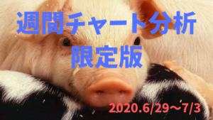 【FX】週間チャート分析限定版【2020.6/29~7/3】