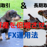 【FX】短期取引と長期取引を組合せて資産を倍増させよう【爆速】