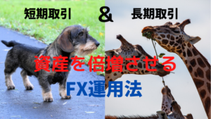 【FX】短期取引と長期取引を組合せて資産を倍増させよう【爆速】