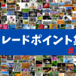 【FX】すぐに使える取引ポイントの見つけ方【トレードポイント集#1】