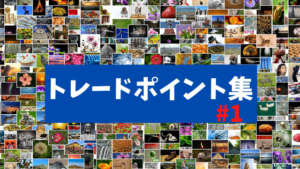 【FX】すぐに使える取引ポイントの見つけ方【トレードポイント集#1】