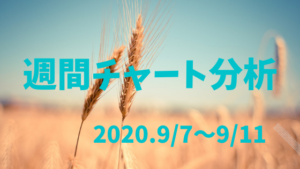 【FX相場予測】週間チャート分析・ドル円【2020.9/7～9/11】
