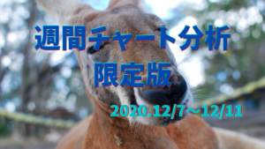 【FX】週間チャート分析限定版【2020.12/7～12/11】