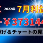 【FX】7月利益+373,144円！稼げるチャートの見方を覚えて取引する方法